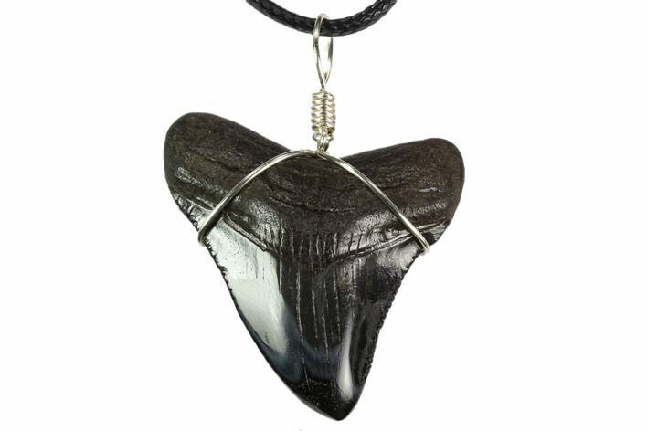 Fossil Megalodon Tooth Necklace #130373
